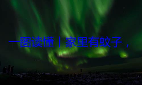 家里有蚊子，这样做速战速决不挨一图读懂丨咬