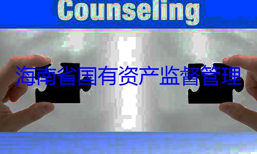 理委员会党资产监督管委副书记王有福接受审海南省国有查调查